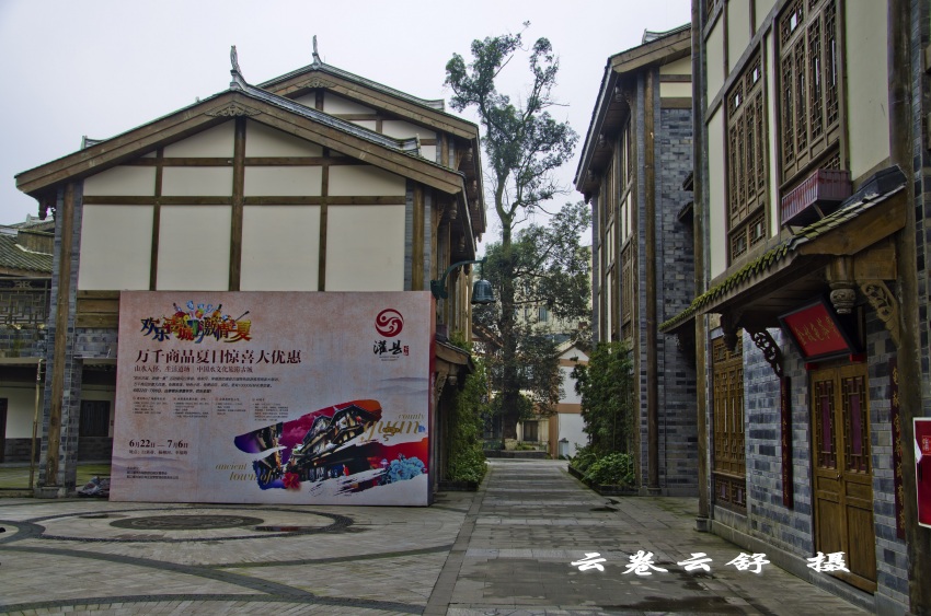 DSC_6964_conew1.jpg