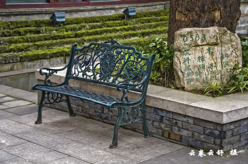 DSC_6971_conew1.jpg