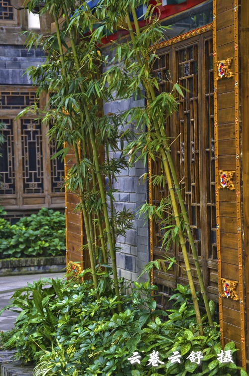 DSC_6973_conew1.jpg