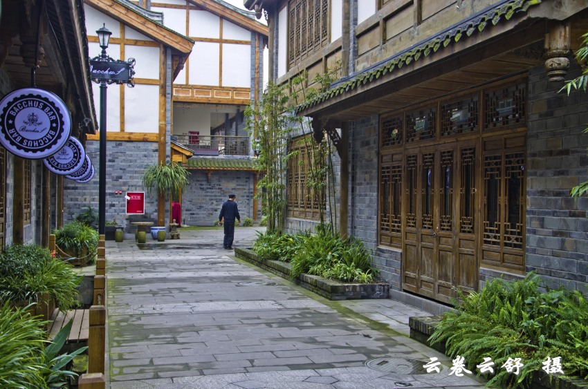DSC_6978_conew1.jpg