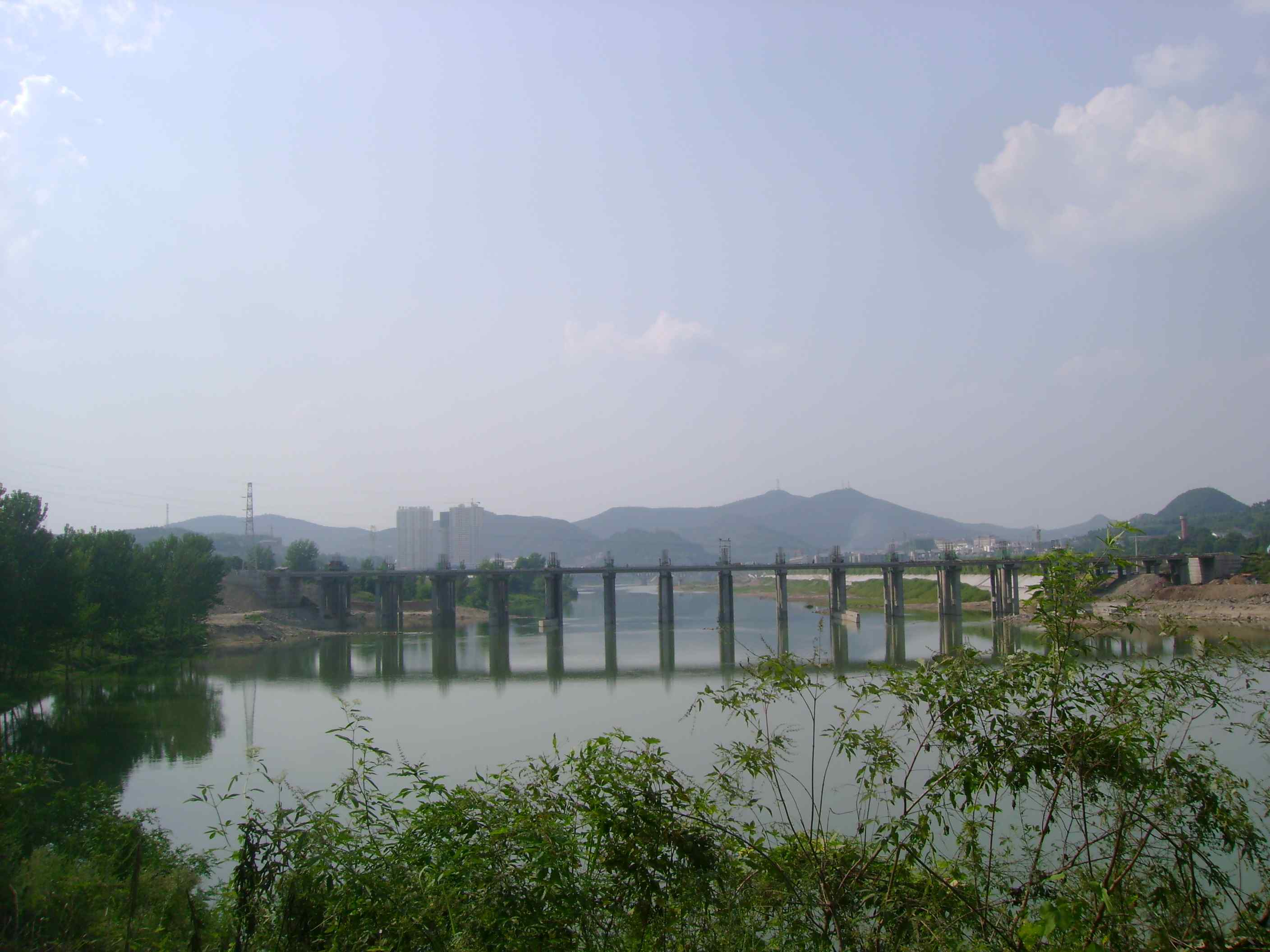 DSC01582.jpg