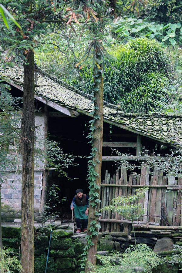 山居——邛崃市水口镇金山村随拍