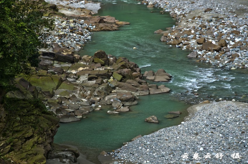 DSC_7101_conew1.jpg