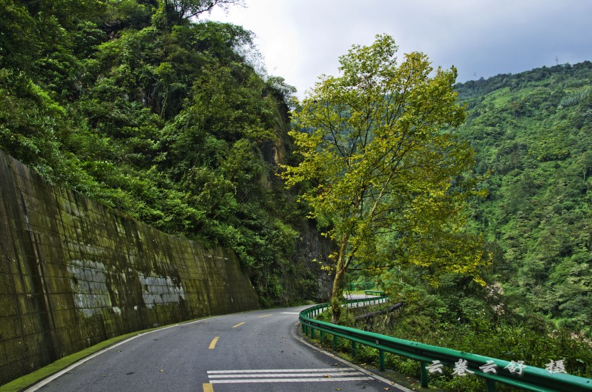 DSC_7103_conew1.jpg