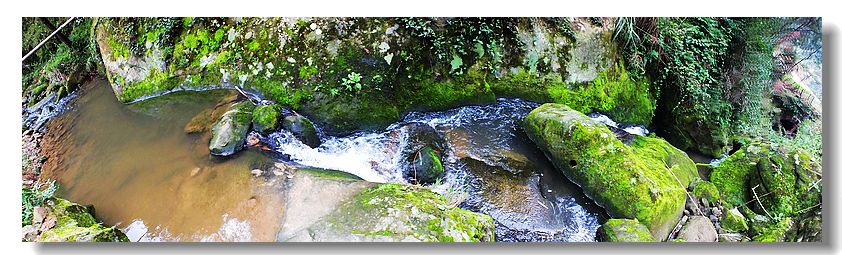 DSCF2212.jpg