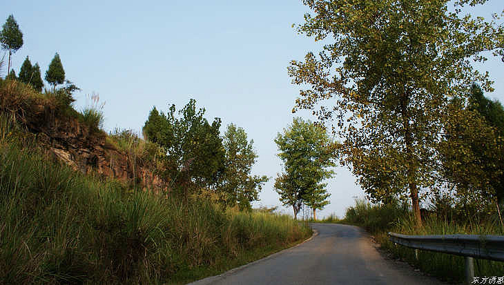 DSC00210.jpg