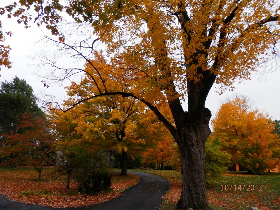 PA140183-1.jpg