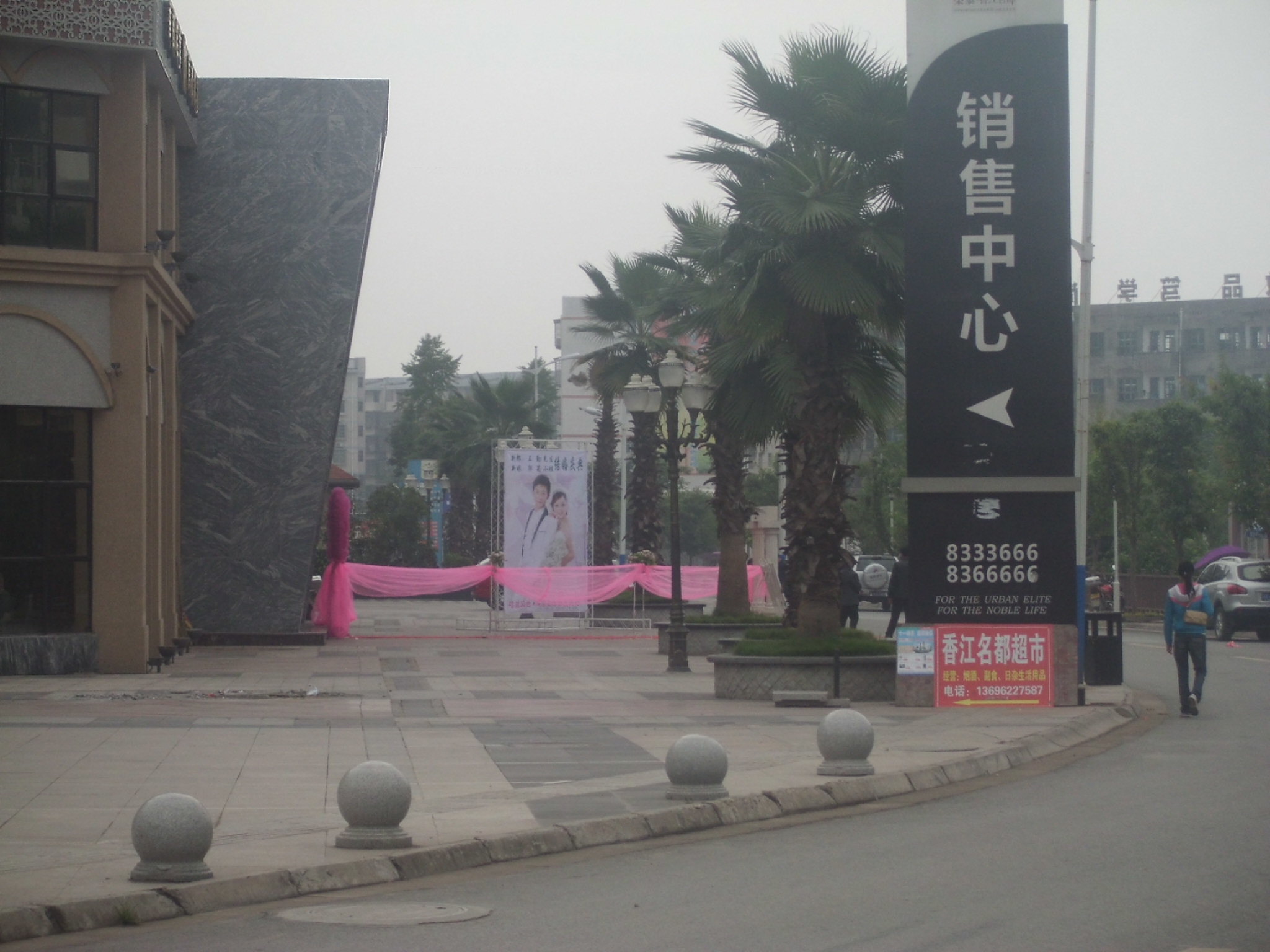 CIMG0729.JPG