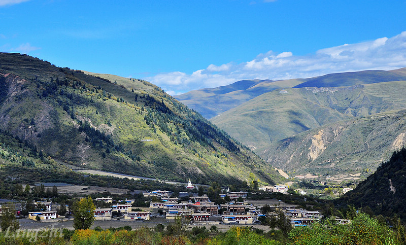 _DSC010111.jpg