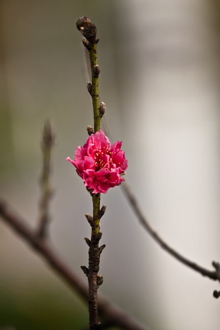 IMG_8760.jpg