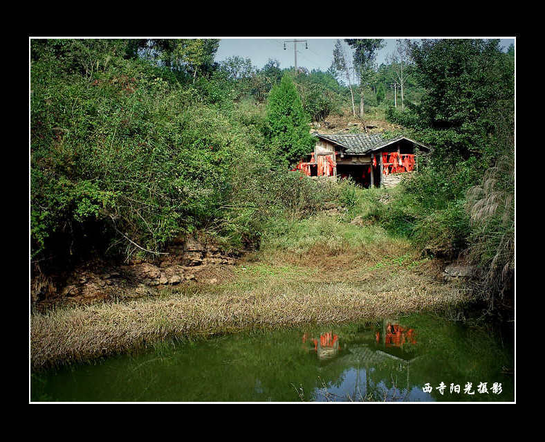 PICT0005.JPG