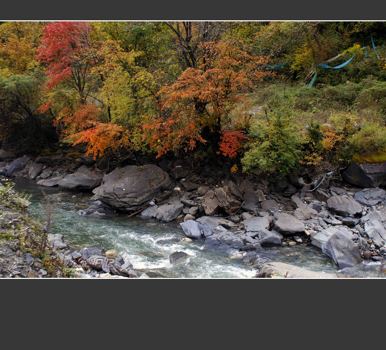 DSC07230ab.jpg