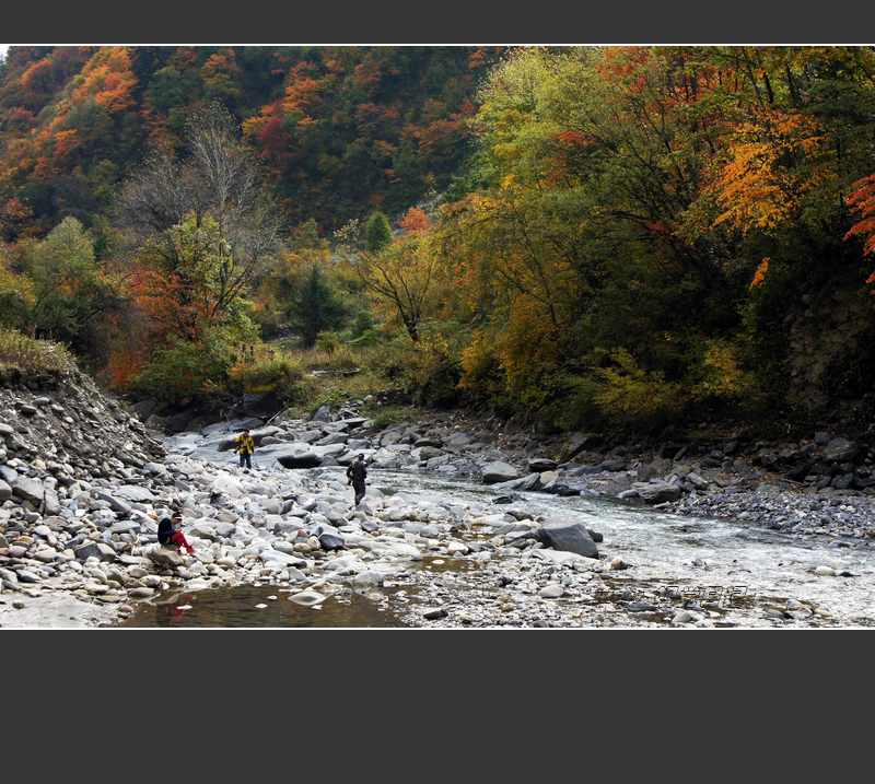 DSC07240ab.jpg