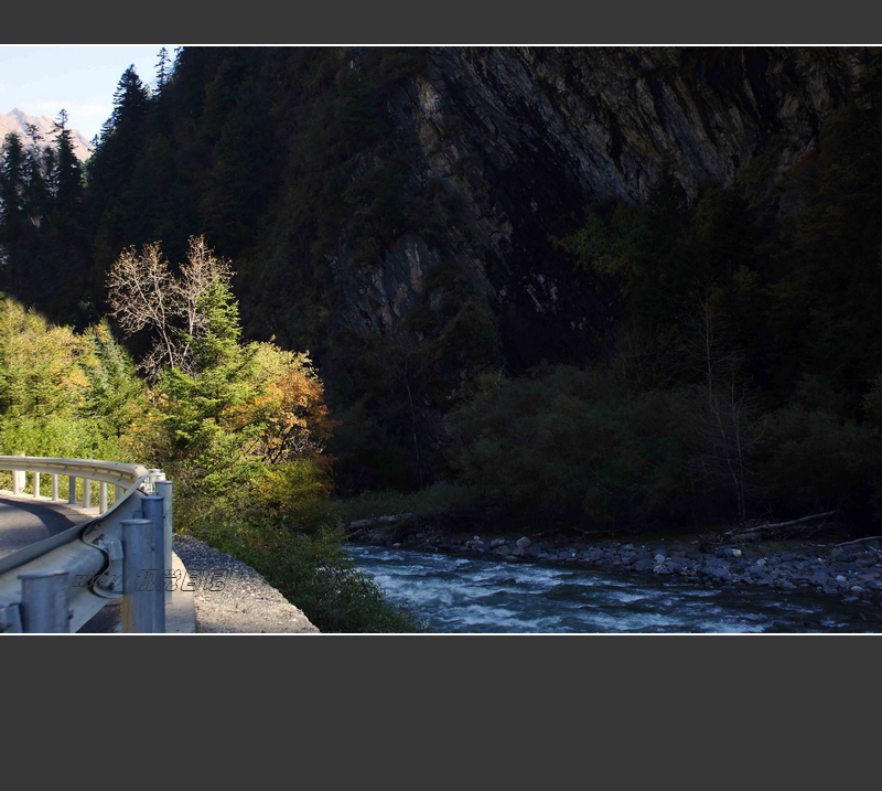 DSC07278ab.jpg