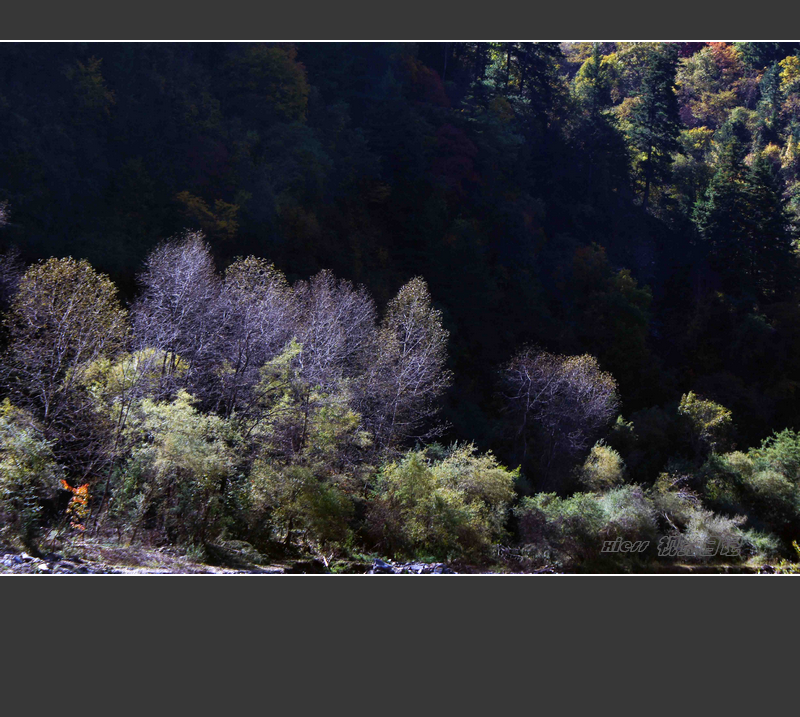 DSC07311ab.jpg