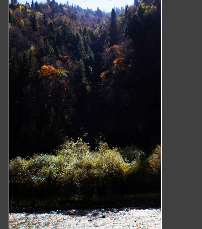 DSC07357ab.jpg