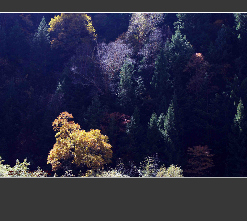 DSC07369ab.jpg