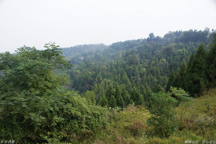 DSC00144.jpg