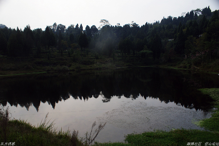 DSC00145.jpg