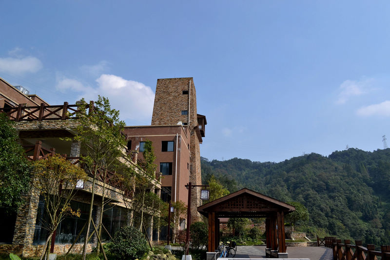 DSC_0282.jpg