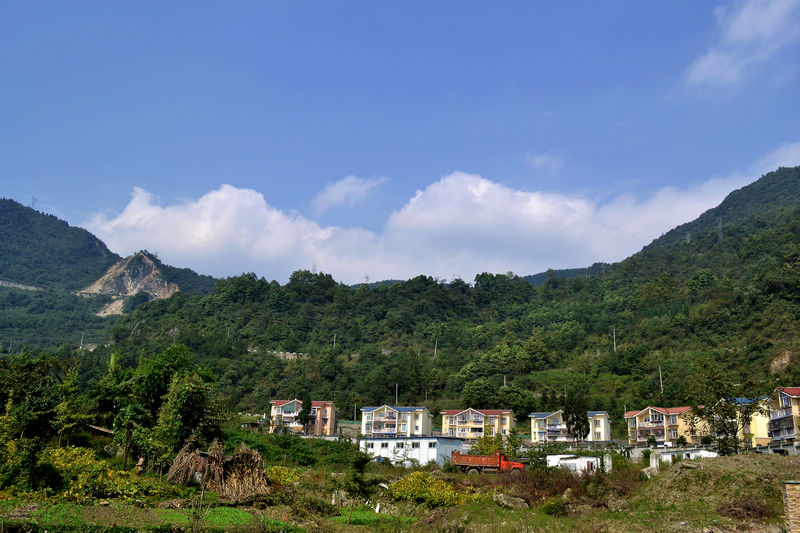 DSC_0274.jpg