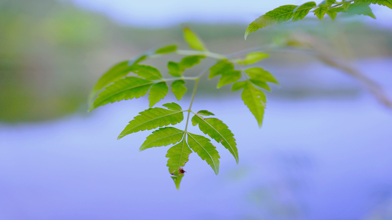 DSC00642_.jpg