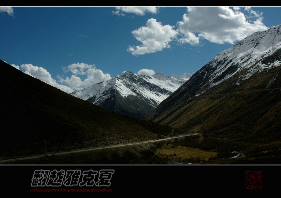 IMGP2205.jpg