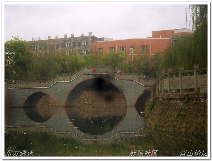 DSCN2248.jpg