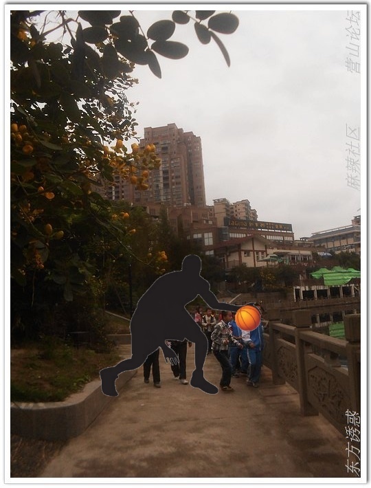 DSCN2259.jpg
