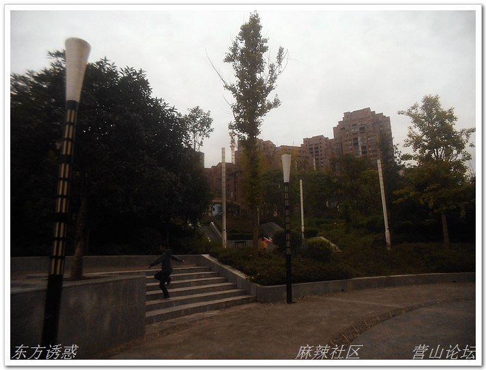DSCN2256.jpg