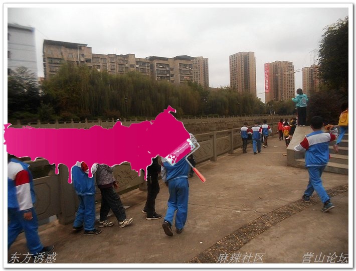 DSCN2255.jpg