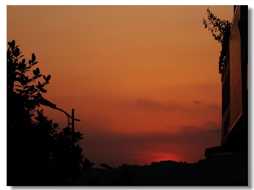 DSCF2637.jpg