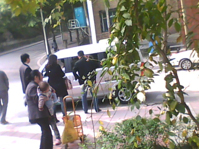 IMG0314A.jpg