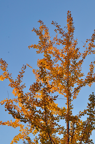DSC_0114_f.jpg