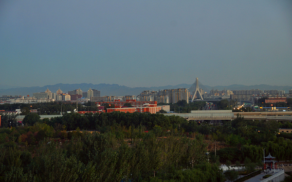 DSC_0011_f.jpg