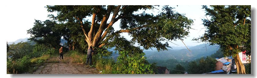 DSCF2298.jpg