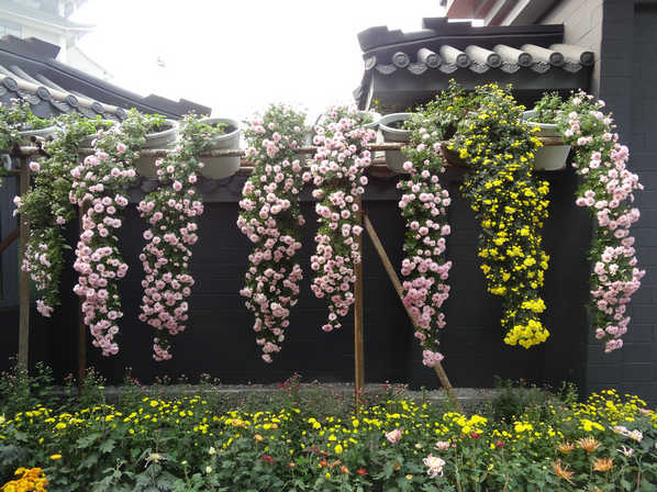 DSC03130.JPG