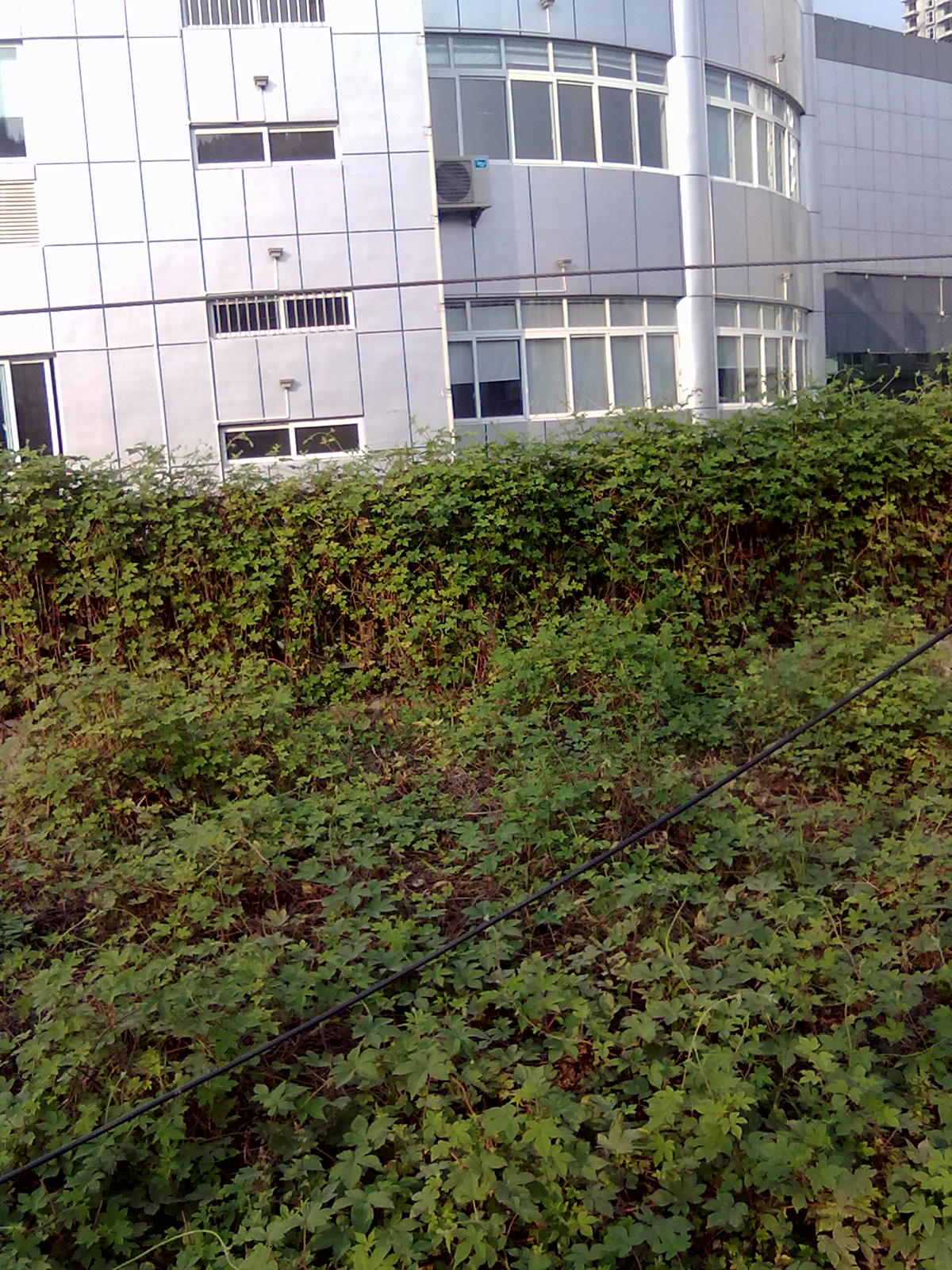201210273422.jpg