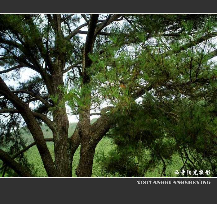 PICT0077.JPG