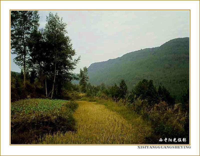 PICT0047.JPG