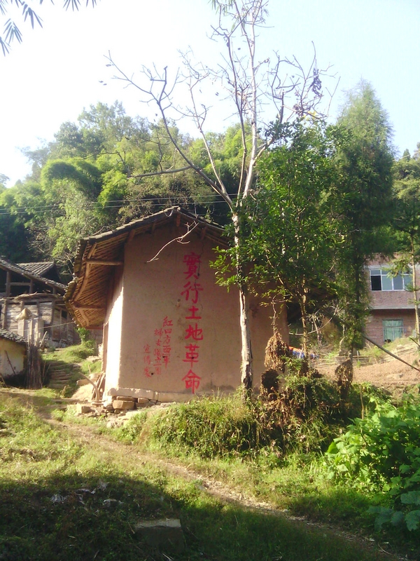 走进《巴山女红军》场景地之一青杠村的桂花树旁,看场景,观拍摄花絮.