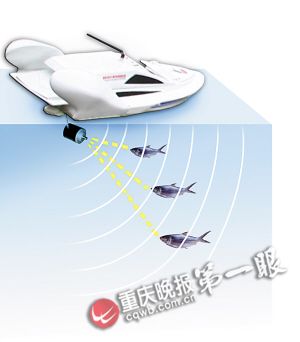 男子为钓大鱼发明声呐钓鱼船 卖价4800或赚千万