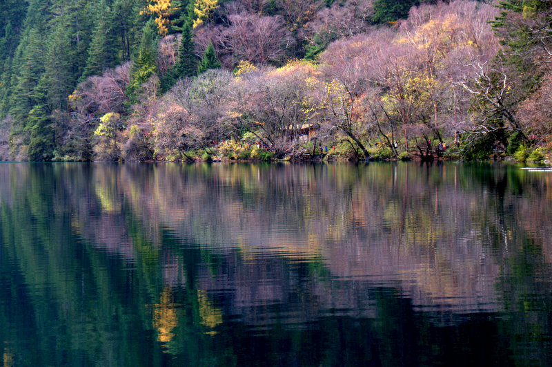 DSC_0721.jpg
