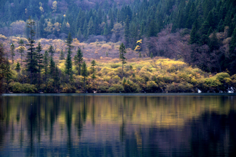 DSC_0722.jpg
