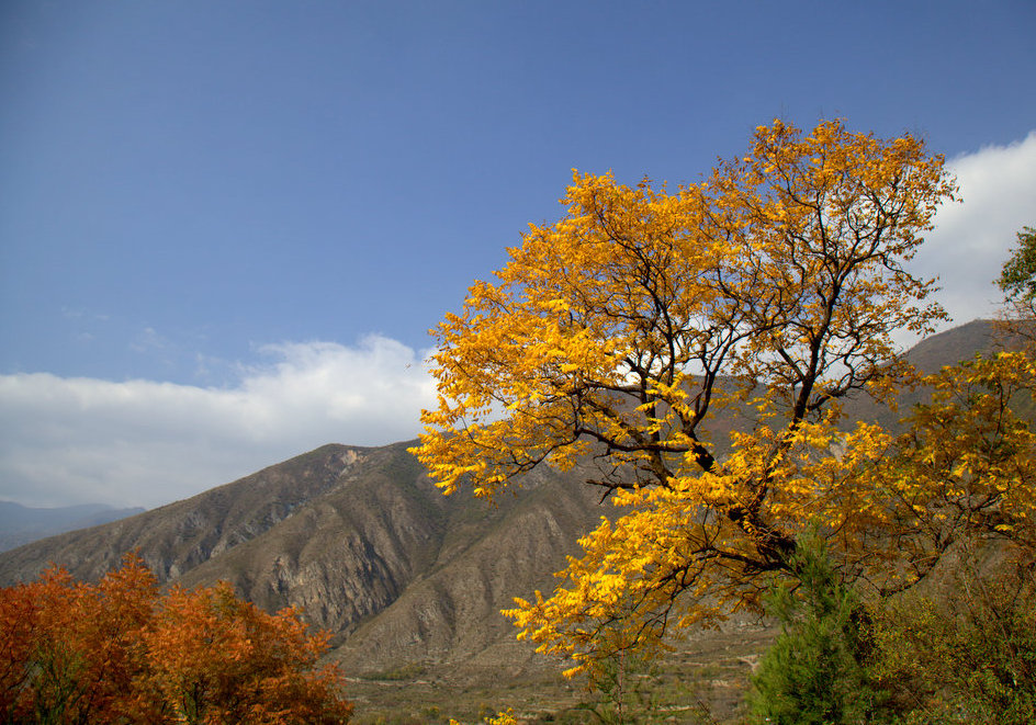 _MG_0364.jpg