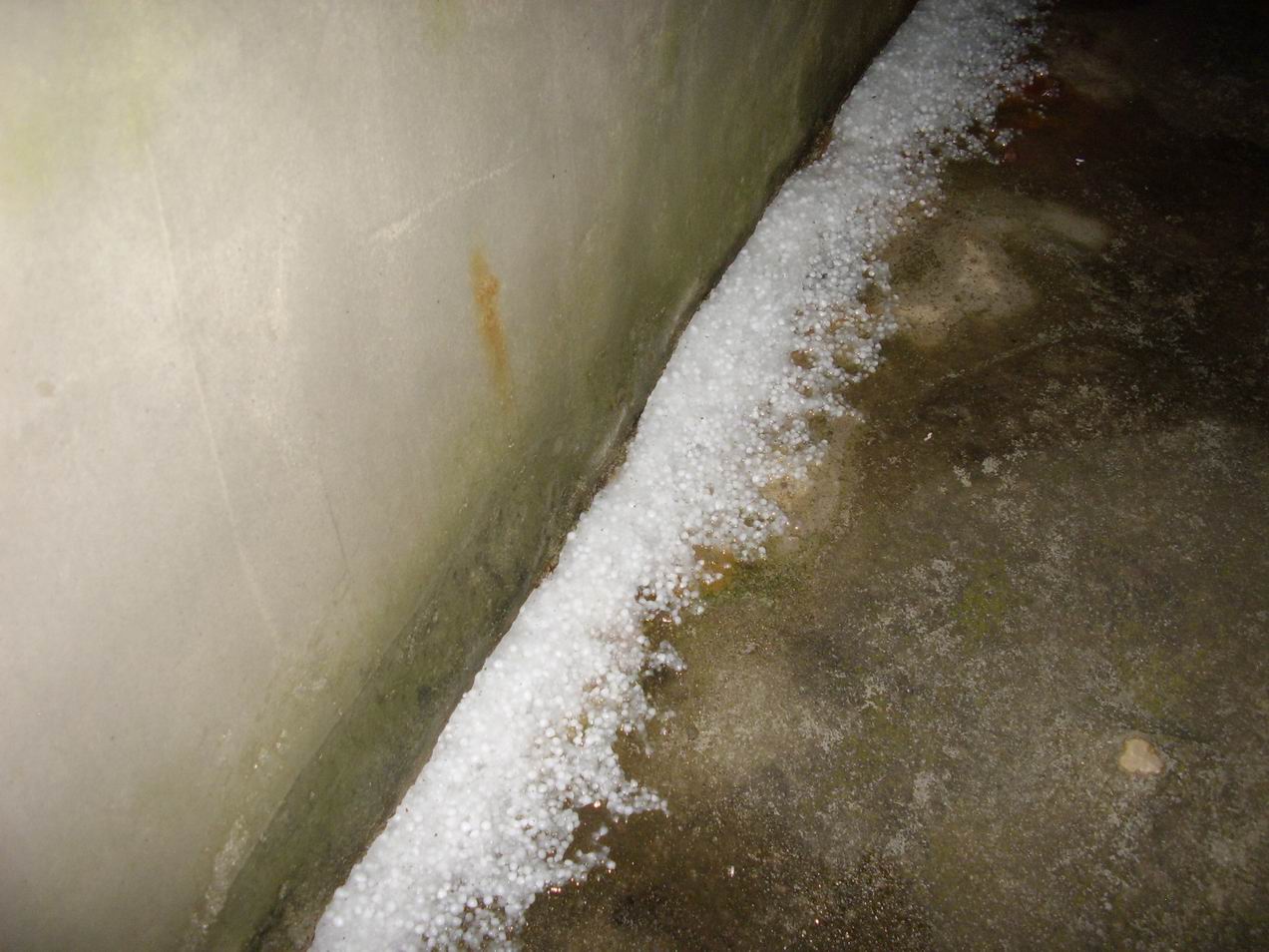 STA40593.JPG