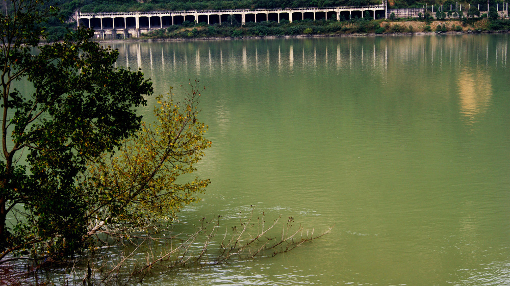DSC01245.jpg