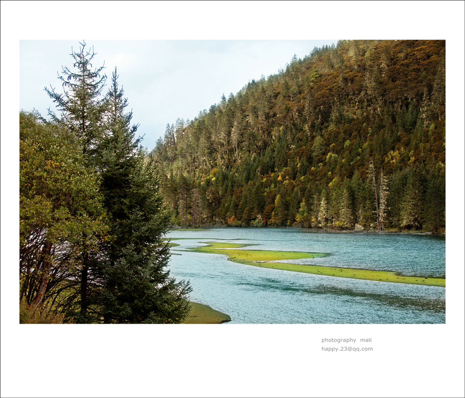 _MG_9770.jpg