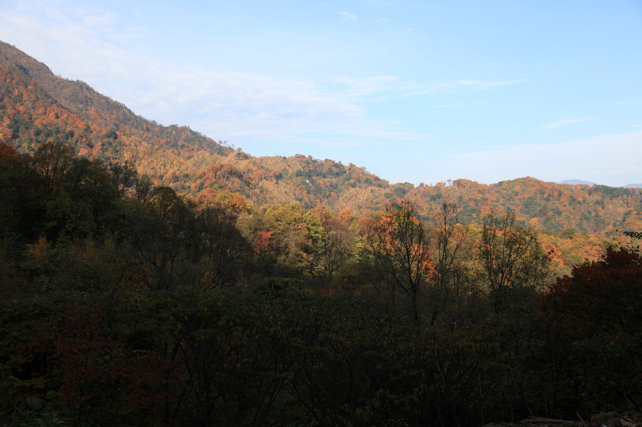 IMG_5059.jpg