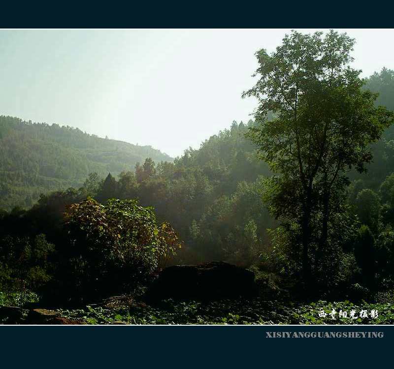 PICT0046.JPG